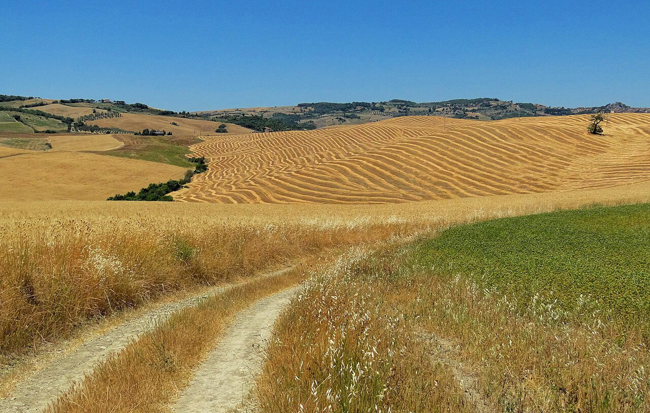 Route of the Via Francigena in Val d'Orcia
