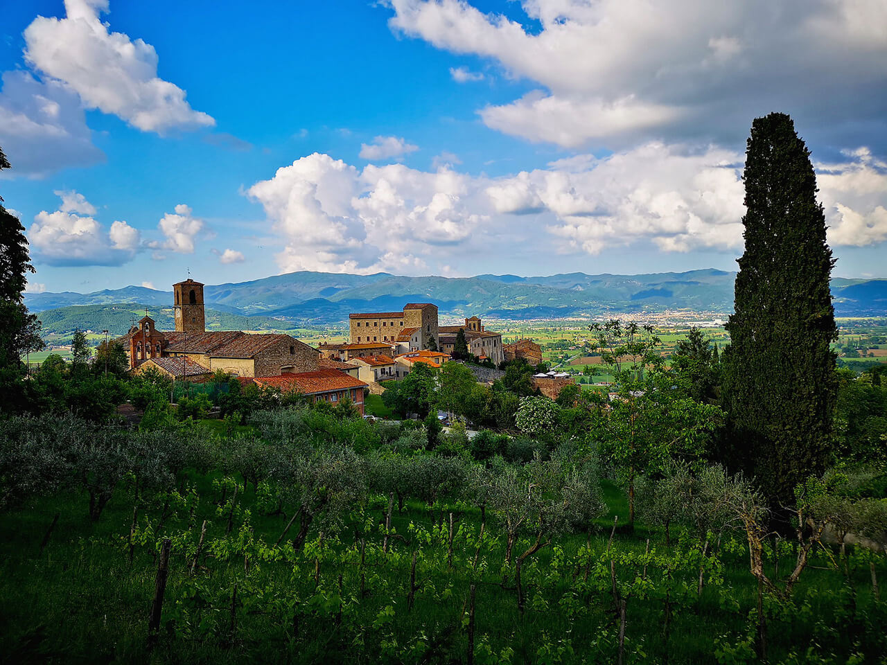 Experience the great wine of Tuscany on a wine tour or tasting in the wineries around Cortona, including the famous Chianti area.