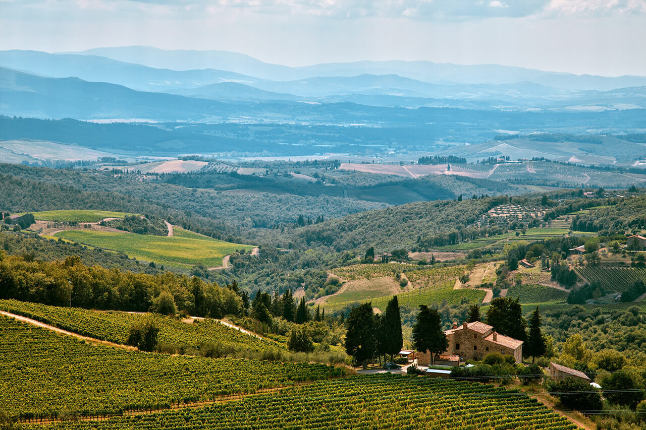 Aerial view of vineyards and stunning landscapes on Castellina in Chianti