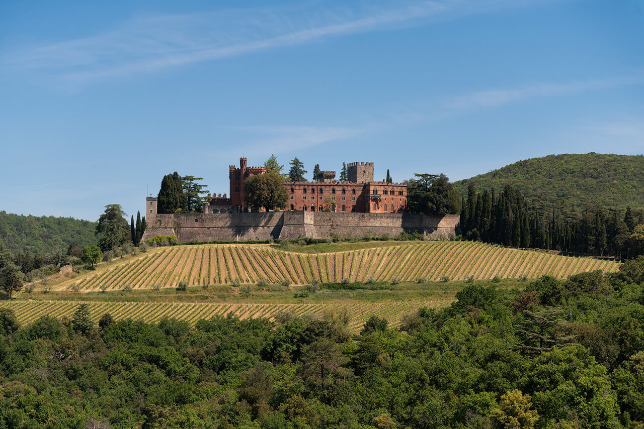 The Brolio Castle sorrounded by vineyards