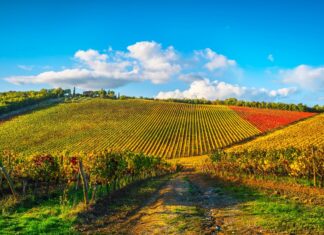 Gaiole in Chianti – 10 Places, Castles and Wineries To Explore Gaiole in Chianti