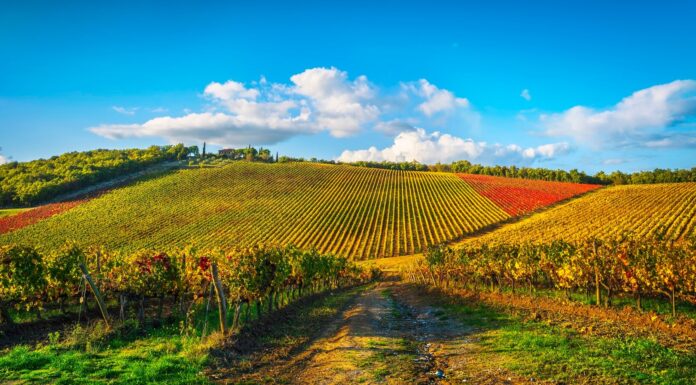 Gaiole in Chianti – 10 Places, Castles and Wineries To Explore Gaiole in Chianti