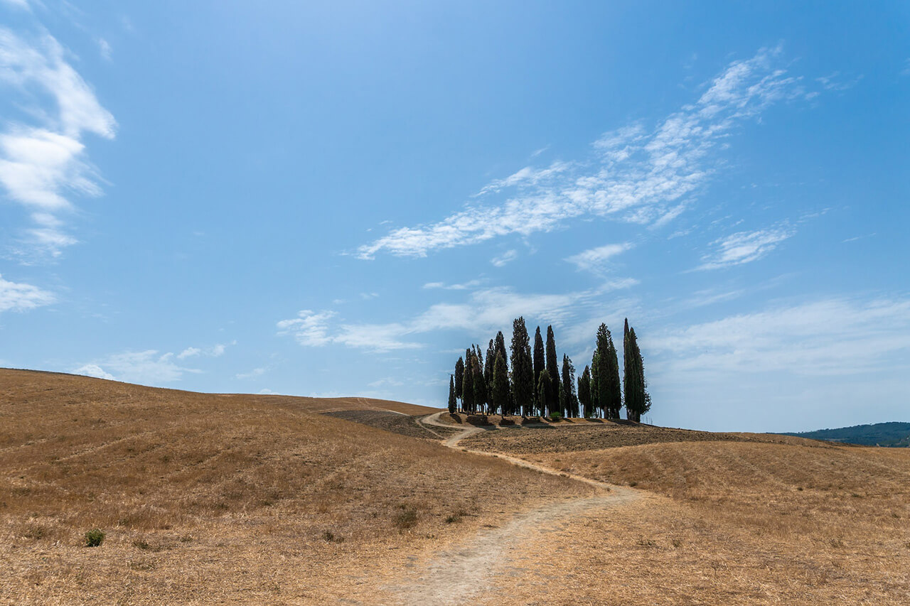 A view of the famous cypresses of San Quirico d'Orcia