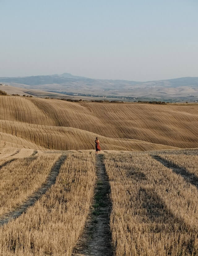 An excellent photo spot in the San Quirico d'Orcia territory