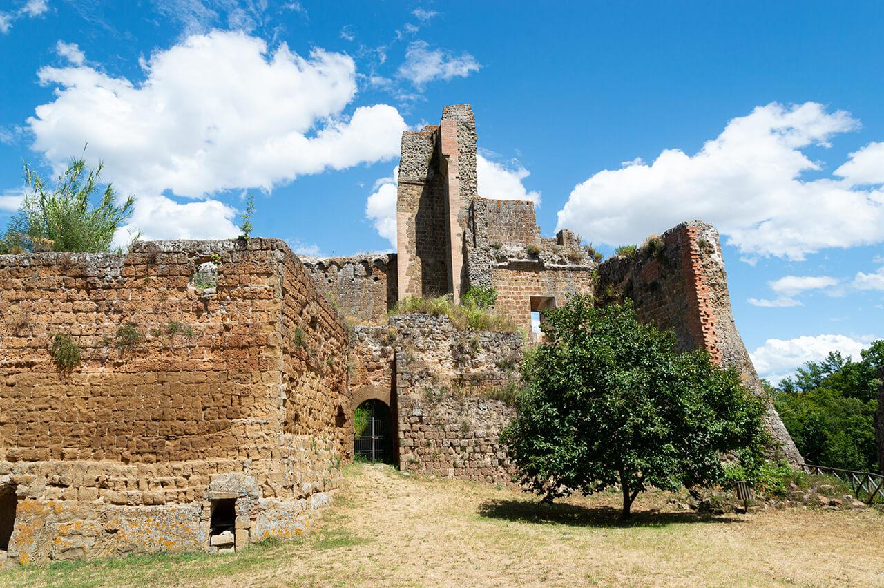 The photo represents the remains of the Rocca Aldobrandesca of Sovana