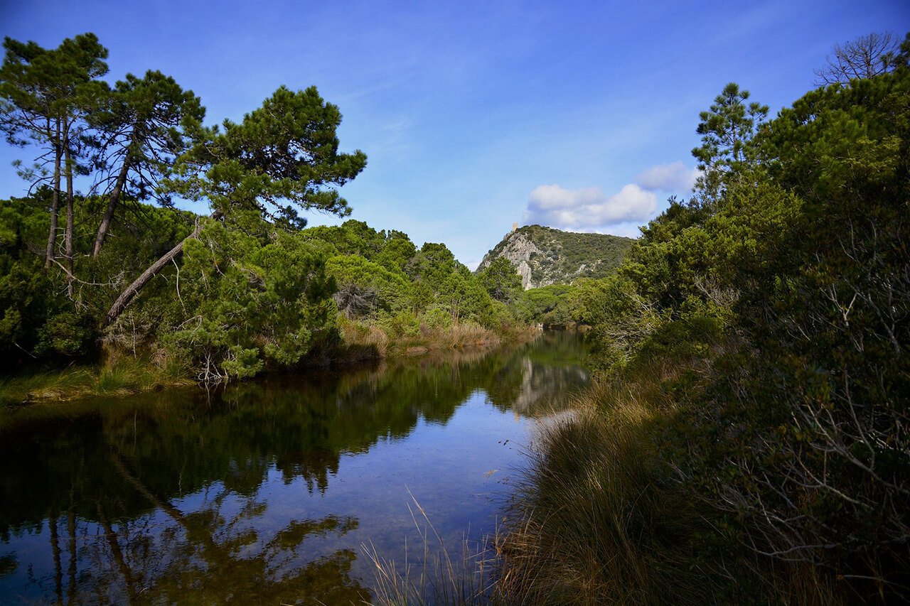Maremma Natural Park, in the province of Grosseto