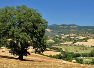 Maremma – 10 Enchanting Wonders that Await Your Discovery Maremma landscape