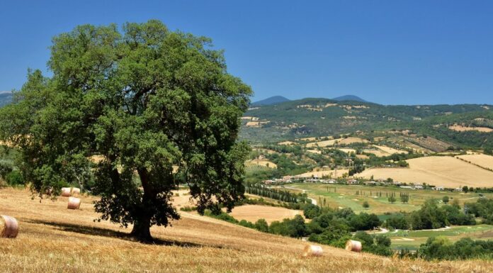 Maremma – 10 Enchanting Wonders that Await Your Discovery Maremma landscape