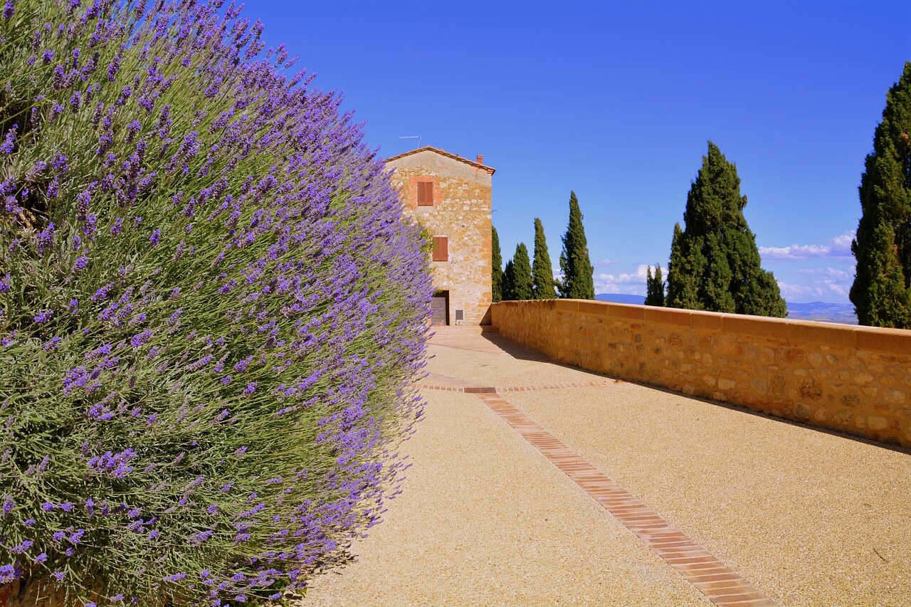 One of the picturesque alleys of Pienza  