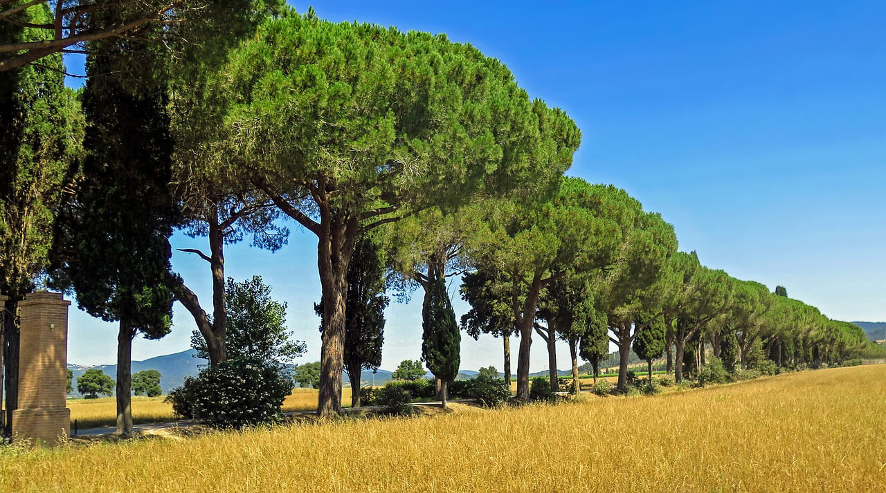 The sunny landscape of Maremma in the summer, in Southern Tuscany