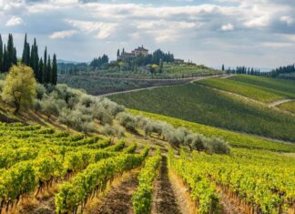 Radda In Chianti – Medieval Charm Between Tuscan Vineyards The overview of Radda in Chianti seen from the countryside