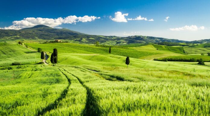 Tuscany in May – The 7 Best Activities for this Month Tuscany in May