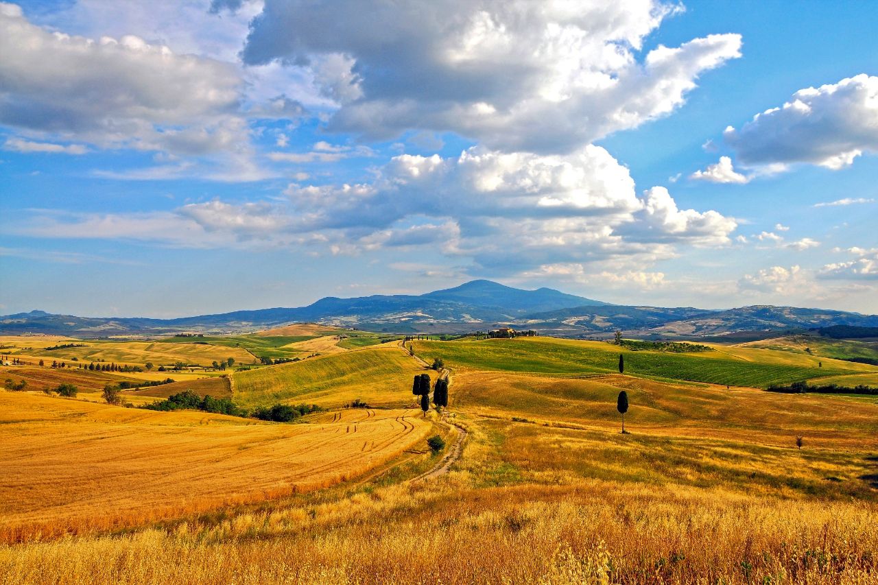 Breathtaking landscapes of the Val d'Orcia, famous for its wines and olive oil.