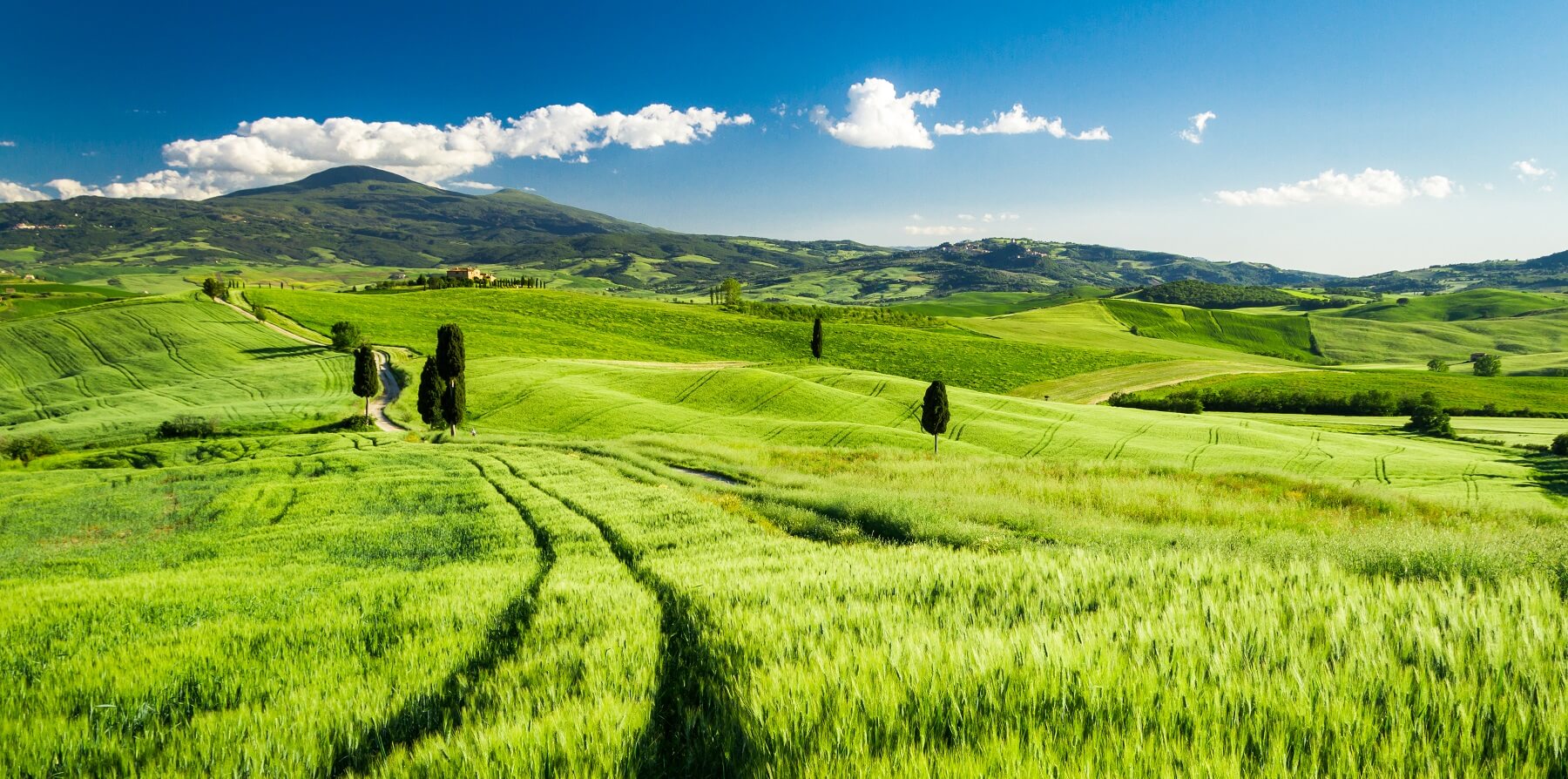 tuscany-in-may-things-to-do-events-and-weather