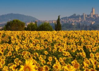 Tuscany in Spring – A Comprehensive Guide for a Memorable Trip Tuscany in Spring