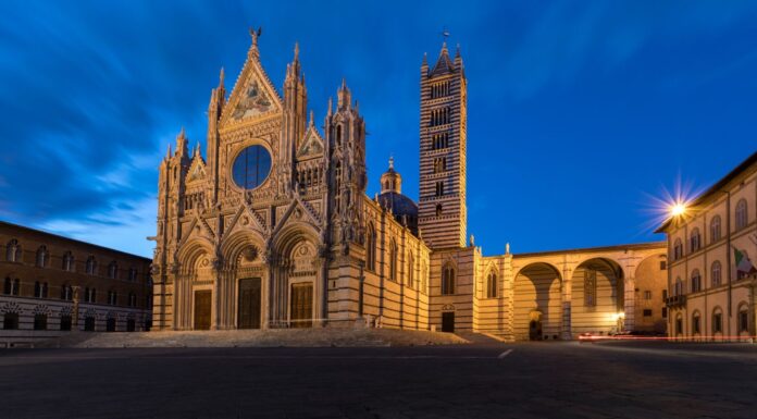 17 Day Trips from Siena – Discover Slices of Tuscan Life The main square of Siena photographed at night, after a day trip