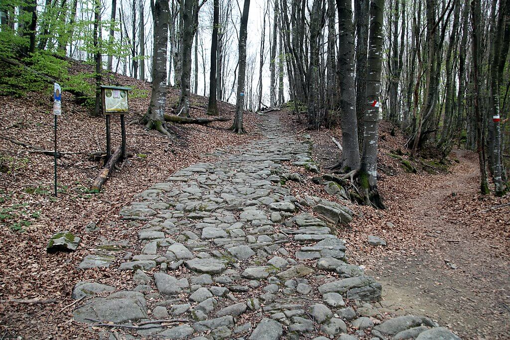 A rocky path surrounded by trees called The God’s Path near Firenzuola, in Tuscany