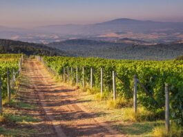 Hiking in Tuscany – 10 Enchanting Adventures on Foot Hiking in Tuscany