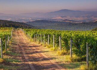 Hiking in Tuscany – 10 Enchanting Adventures on Foot Hiking in Tuscany