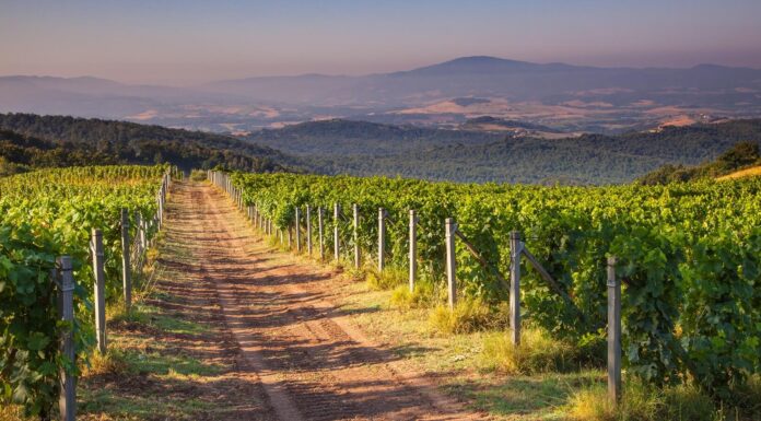 Hiking in Tuscany – 10 Enchanting Adventures on Foot Hiking in Tuscany