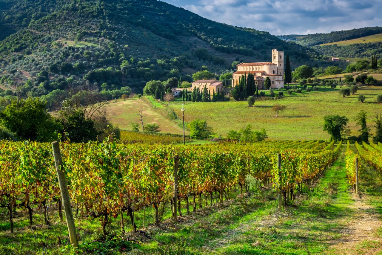 A vineyards on the hill that produces local wine in Tuscany