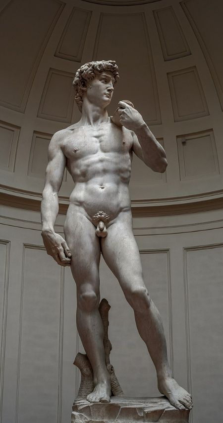 The front of the statue of David in Florence
