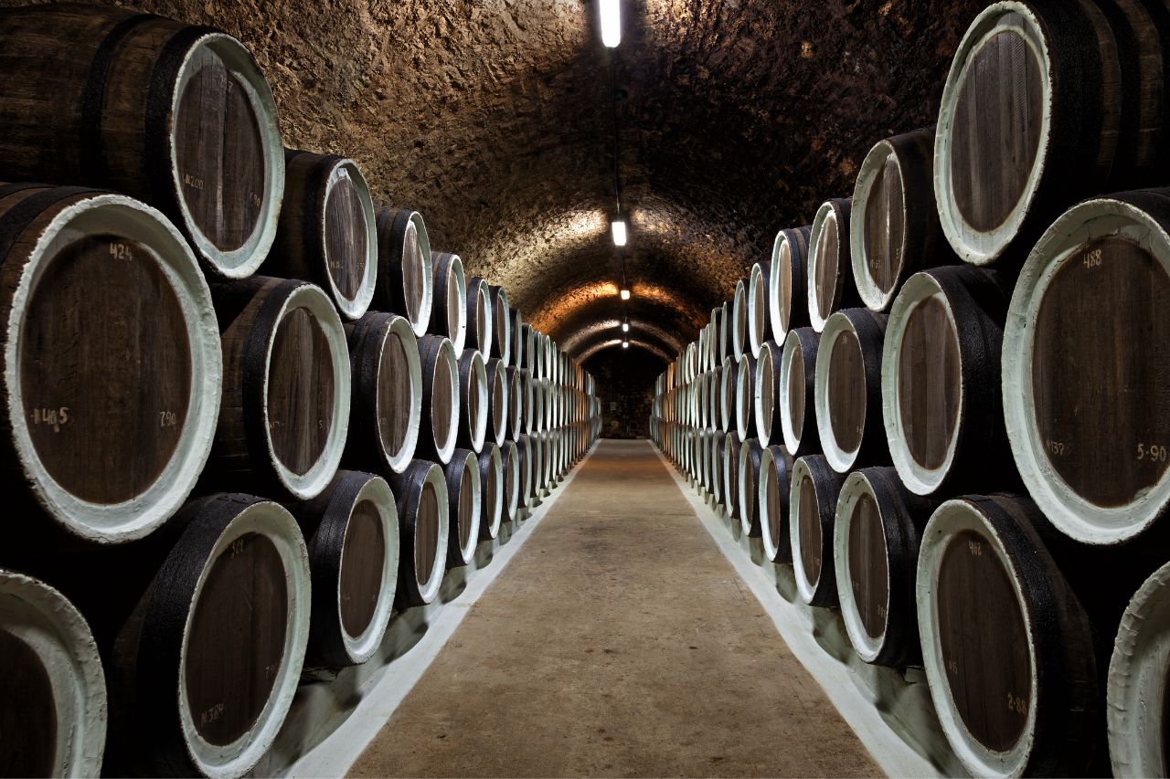 Different wine barrels at underground in Ciacci Piccolomini D'Aragona 