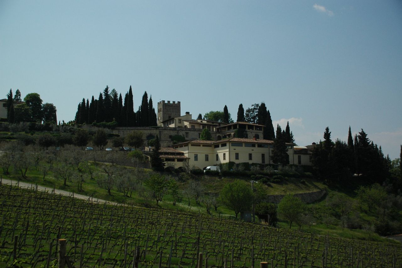 A vineyards of Castello di Verrazzano near at Greve in Chainti