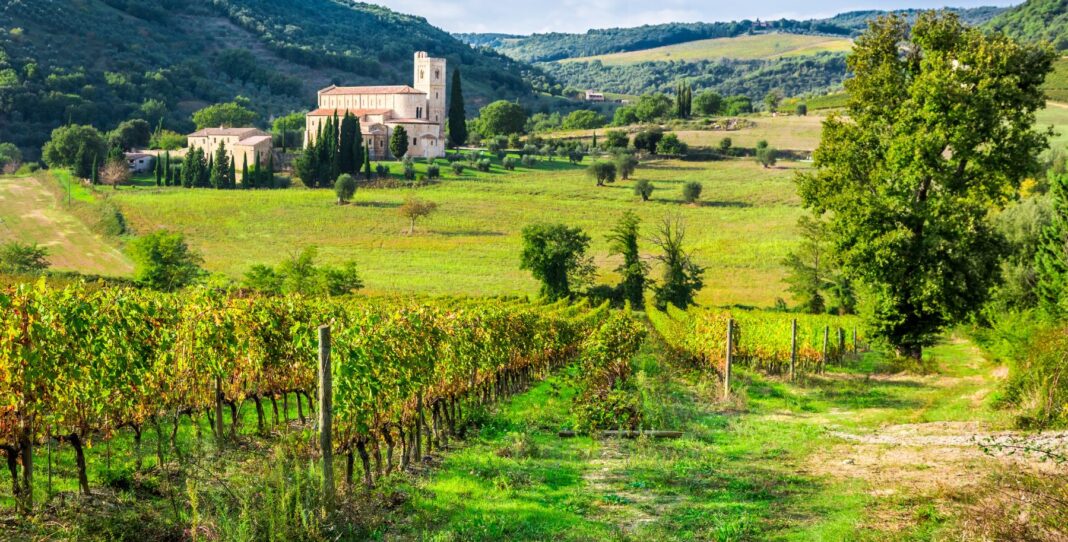 Best Wineries in Tuscany