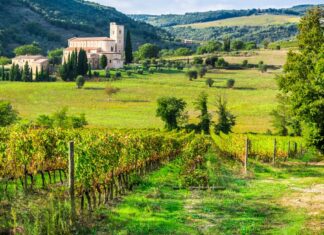 Best Wineries in Tuscany – Dreamy Wine Trips in 2023 Best Wineries in Tuscany