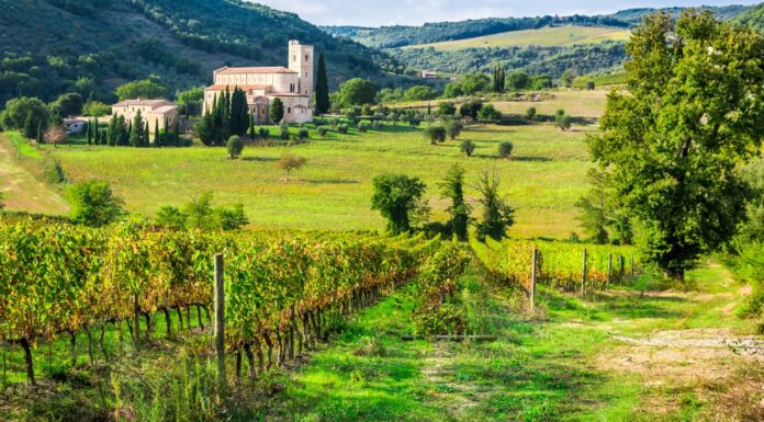 Best Wineries in Tuscany – Dreamy Wine Trips in 2023 Best Wineries in Tuscany