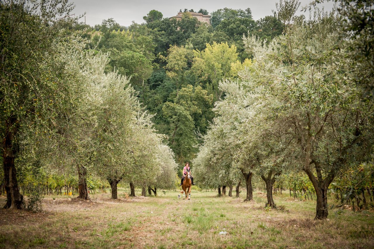 A woman enjoys horseback riding in the Tuscan countryside.
