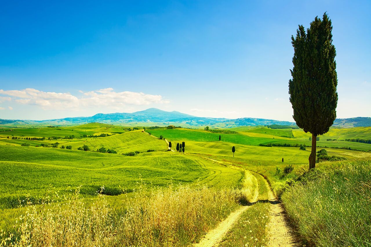 The Val D'Orcia countryside - one of the best places to reach on a day trip from Siena.