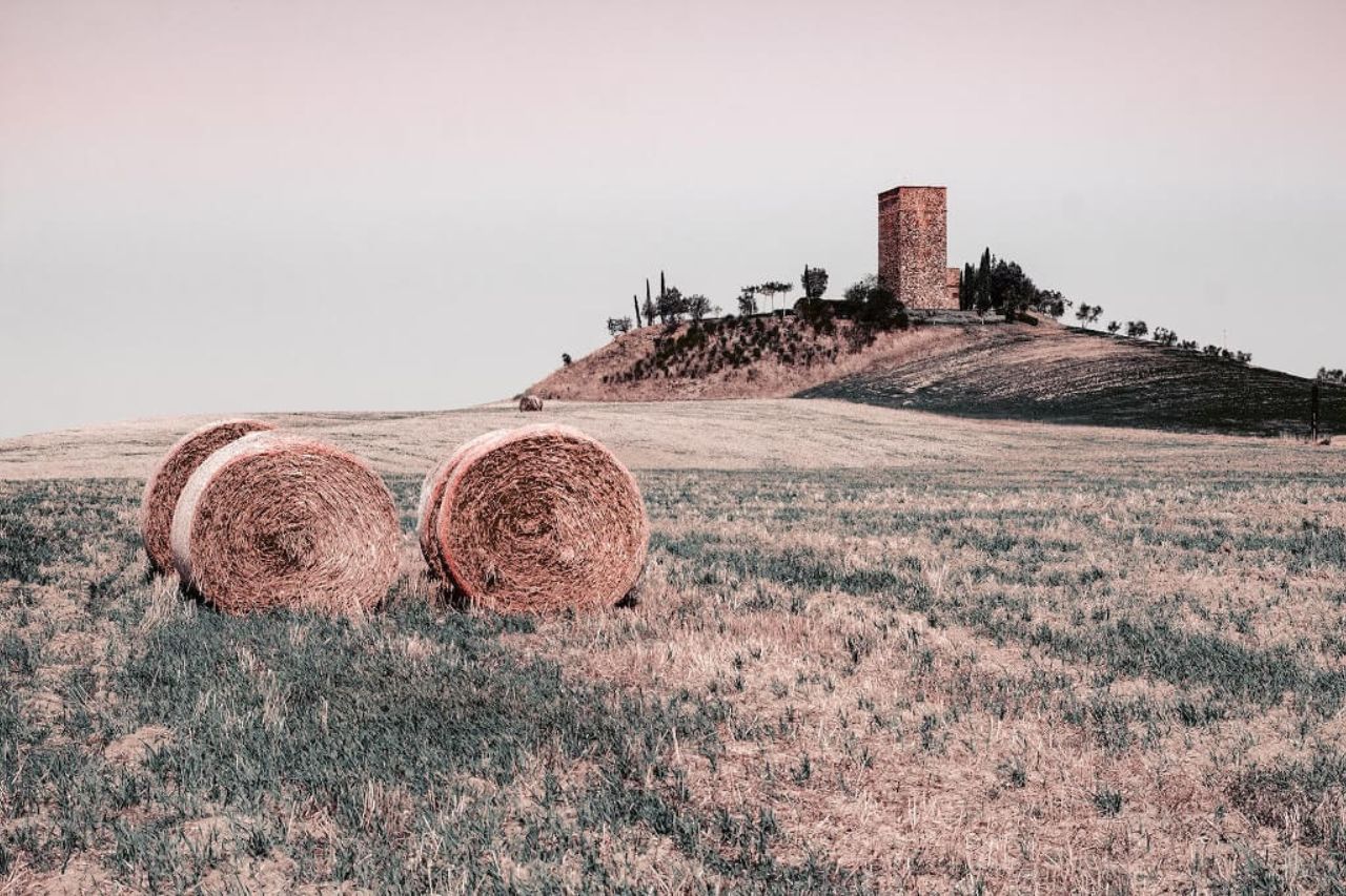 Countryside landscape of the Val d’Orcia, near Pienza