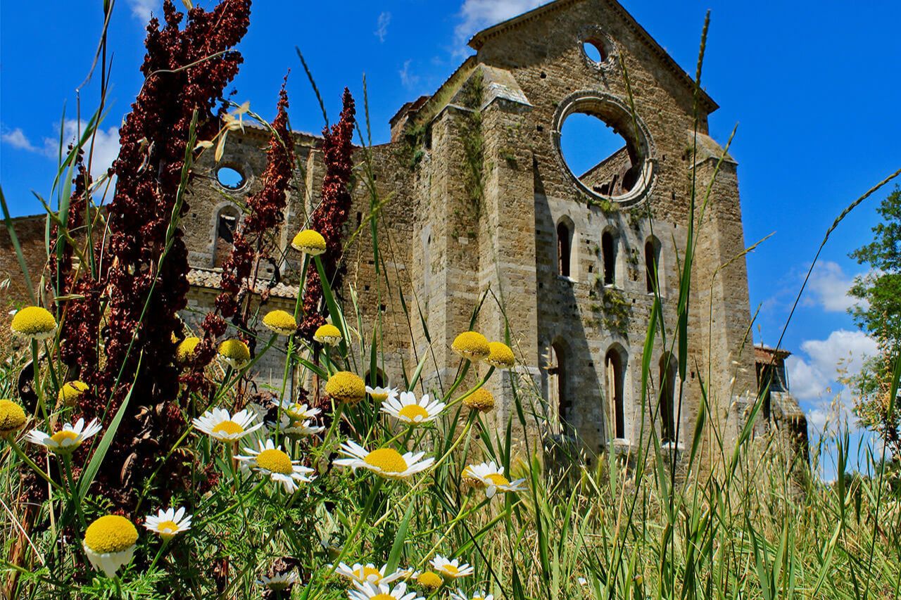 The Abbey of San Galgano sorrounded by spring flowers