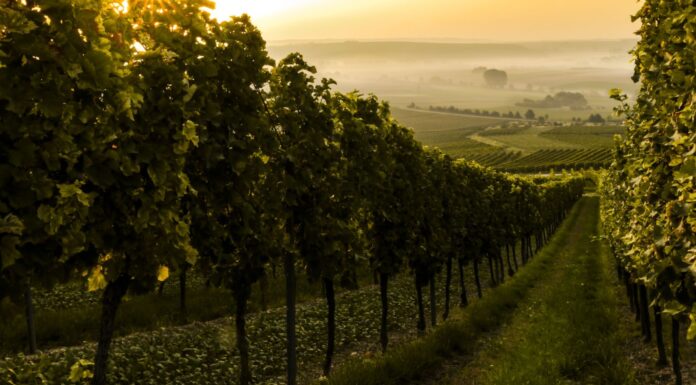 Tuscany in October – 10 Things to Do in the Autumn Season tuscany in october