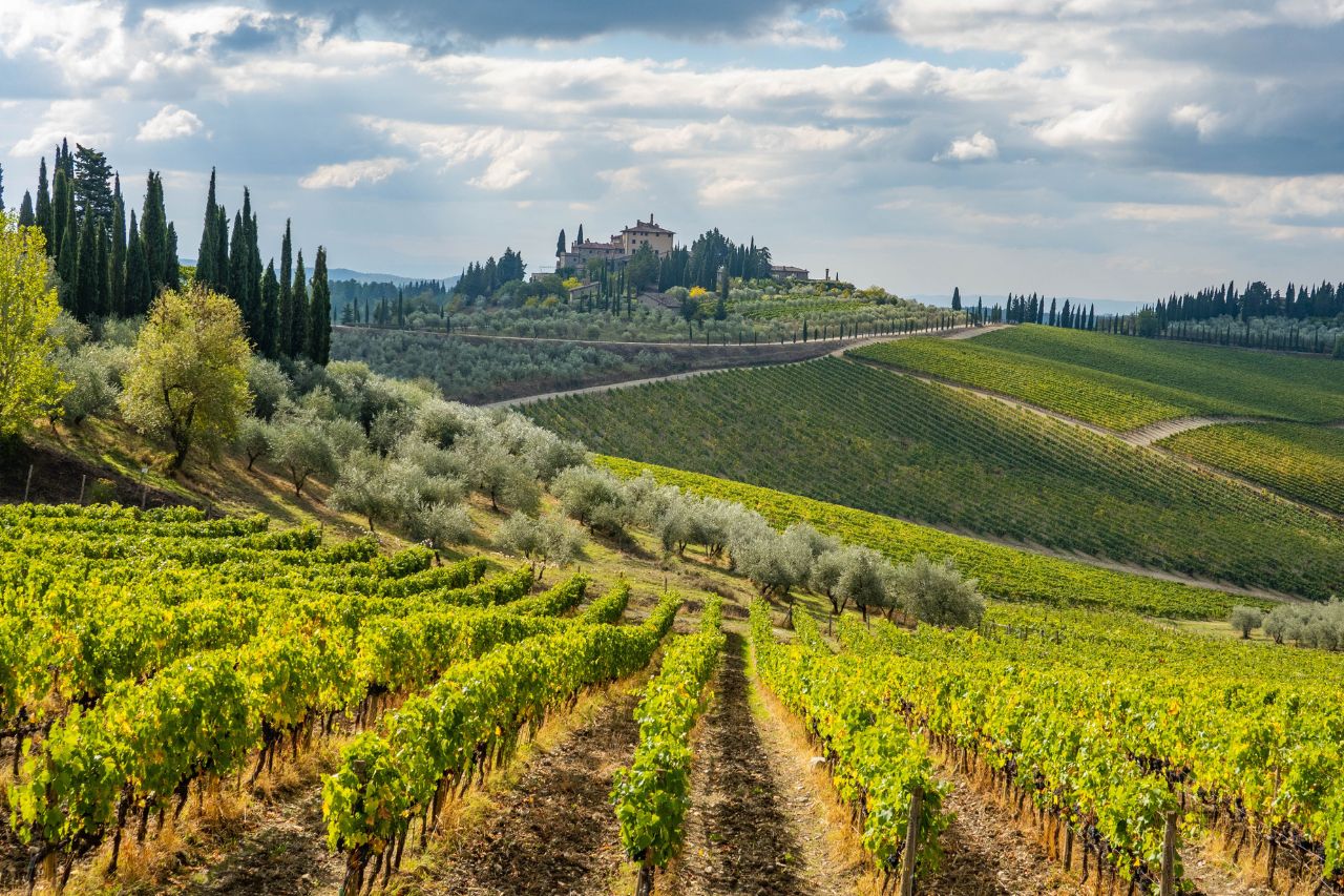 A breathtaking landscape of vineyards in The Chianti region.