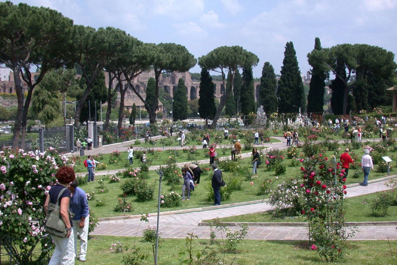 Tourists are closely observing the flowers of a very important garden in Rome: the Municipal Rose Garden