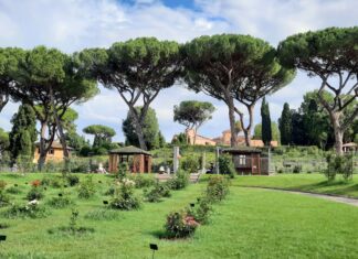 Botanical Garden in Rome – A Serene Gem in the Eternal City Botanical Garden in Rome