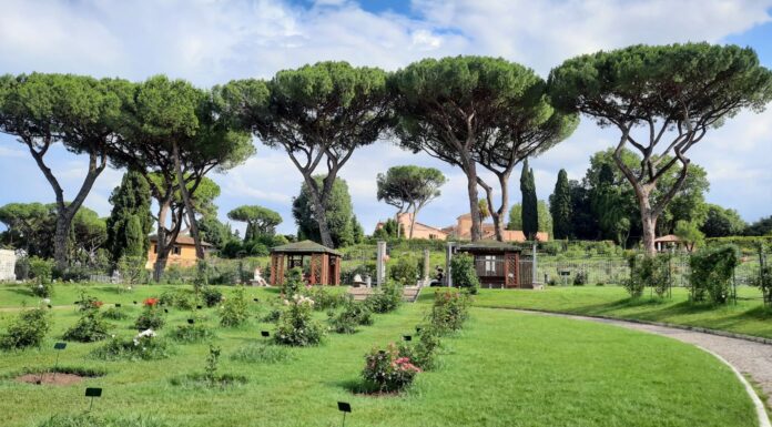 Botanical Garden in Rome – A Serene Gem in the Eternal City Botanical Garden in Rome