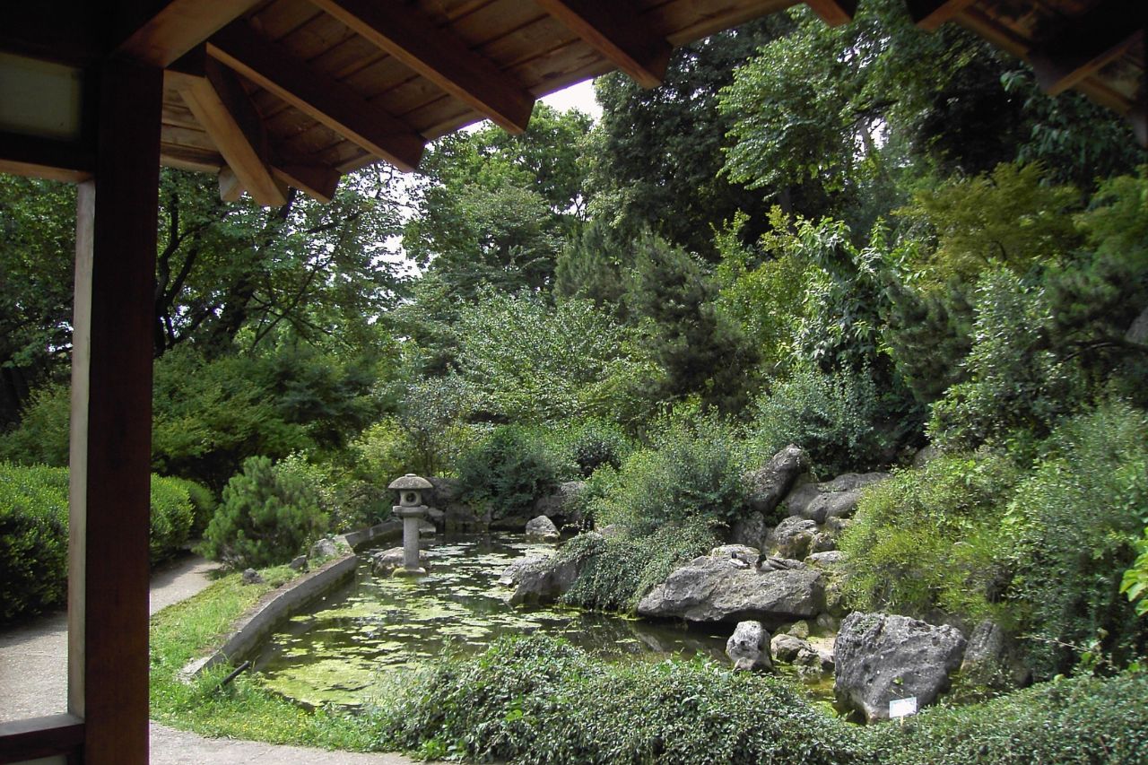The tranquil beauty of the Japanese Garden within the Botanical Garden in Rome