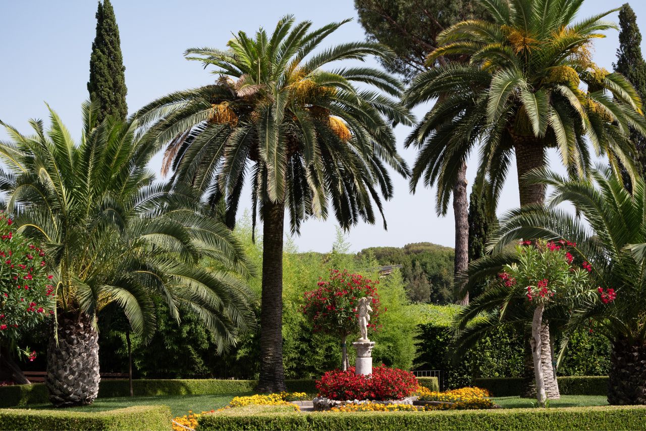 The beautiful botanical garden of Rome with relaxation atmosphere.