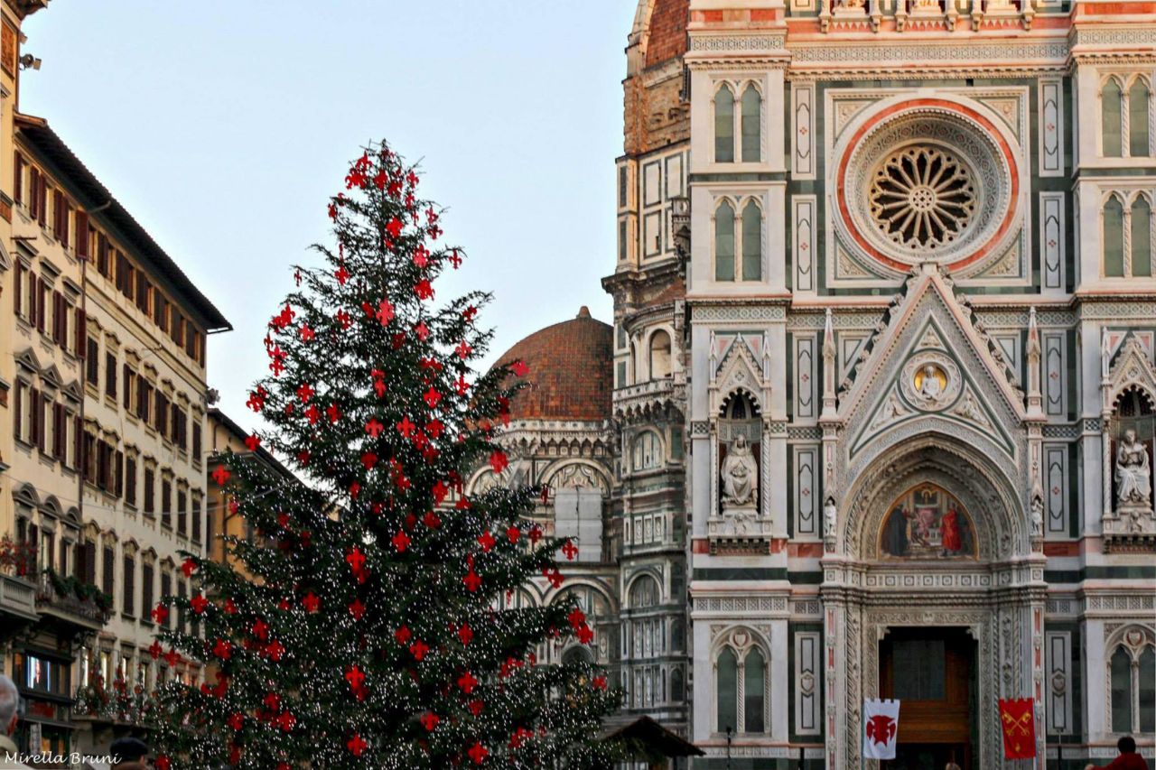 A beautiful Christmas tree in Florence in winter, Tuscany.