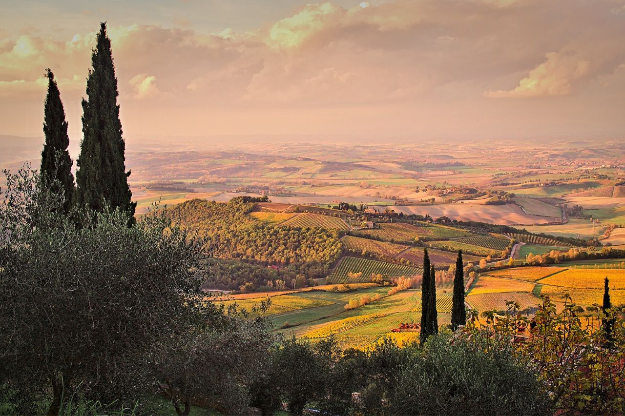 The beautiful view of Montalcino in Val d'Orcia